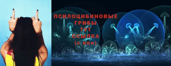герыч Верхний Тагил