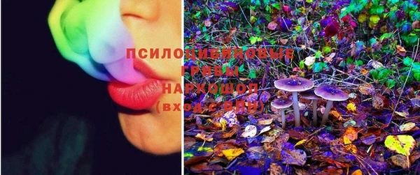 герыч Верхний Тагил