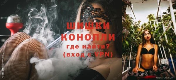 гашик Верея