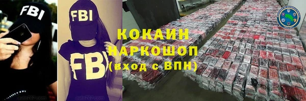 гашик Верея