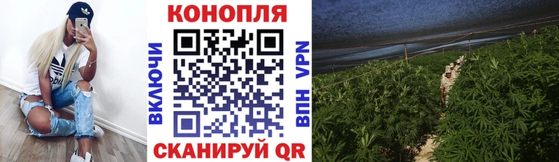 Марихуана планчик  Лихославль 